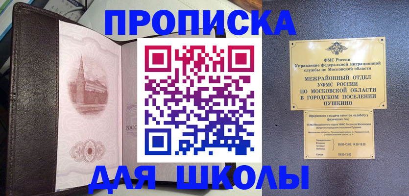 временная регистрация для школы в Чапаевске